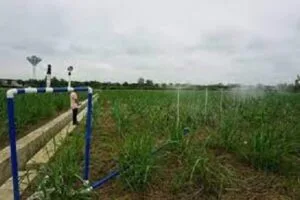 Types and Features of Sprinkler or Overhead Irrigation System