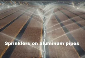 Types and Features of Sprinkler or Overhead Irrigation System