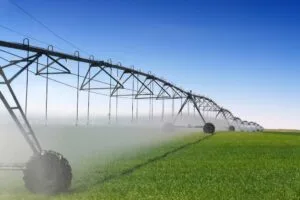 Types and Features of Sprinkler or Overhead Irrigation System
