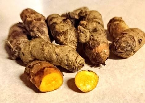 Cultivation-of-Turmeric