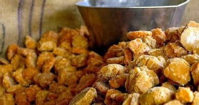 Jaggery (Gur) Making Process from the Sugar Cane Juice
