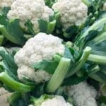 Cultivation of Cauliflowe