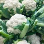 Cultivation of Cauliflowe