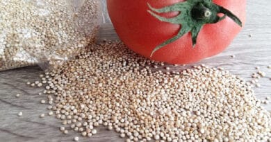 Vegetable Seed Conservation for the Home Gardens