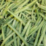 Cultivation of French Bean (Kidney Bean) in India: A Full Information Guide