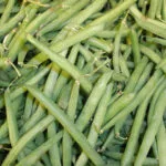 Cultivation of French Bean (Kidney Bean) in India: A Full Information Guide