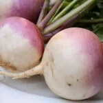 Cultivation of Turnip