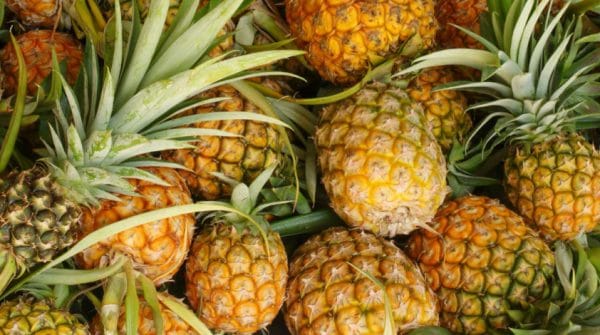 Queen Pineapple