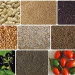 Easy Steps to Produce Your Own Vegetable Seeds