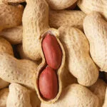 Cultivation of Groundnut