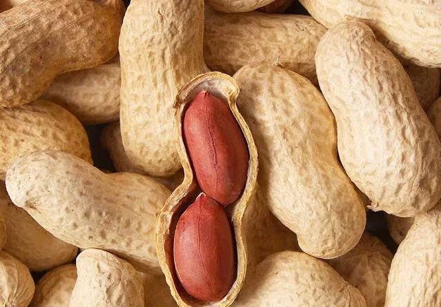 Cultivation of Groundnut