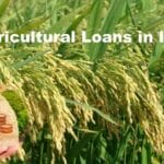 How to Avail Agricultural Loans in India