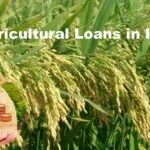 How to Avail Agricultural Loans in India