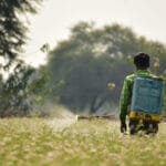 Insecticide Formulations and Their Calculation: A brief Information