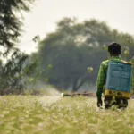 Insecticide Formulations and Their Calculation: A brief Information
