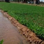Importance and Types of Surface Irrigation System