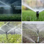 Types and Features of Sprinkler or Overhead Irrigation System