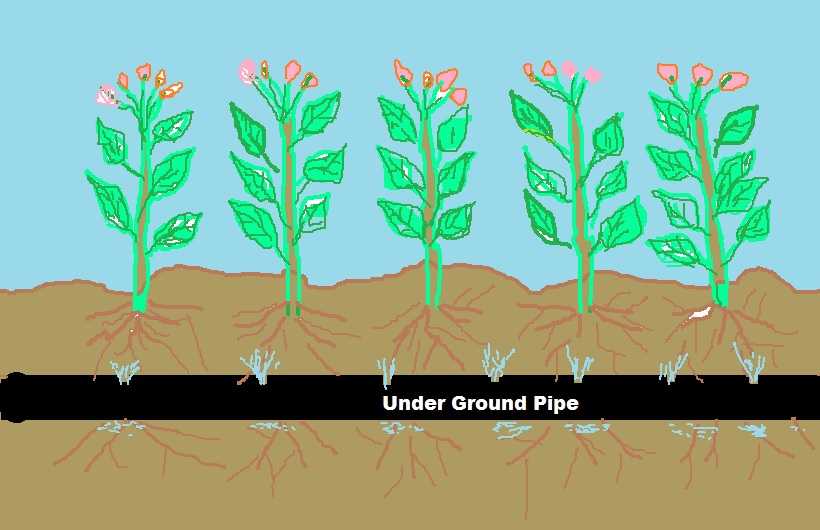 Importance of Sub-soil or Sub-surface Irrigation System