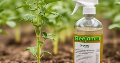 How to Make Beejamrit : A Natural Remedy for Sustainable Farming