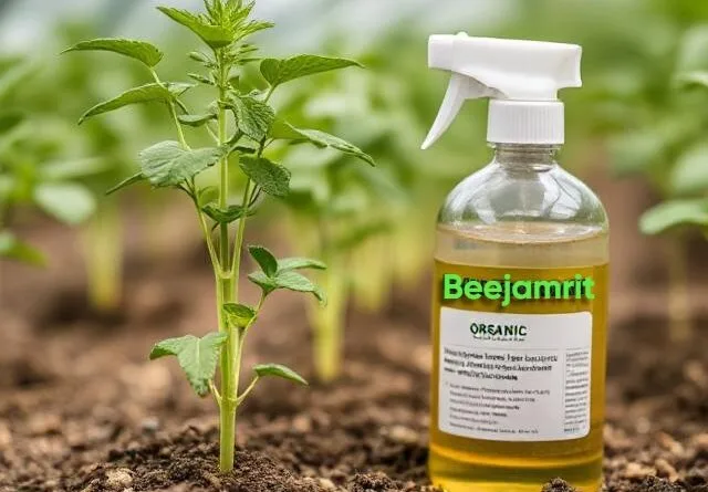 How to Make Beejamrit : A Natural Remedy for Sustainable Farming