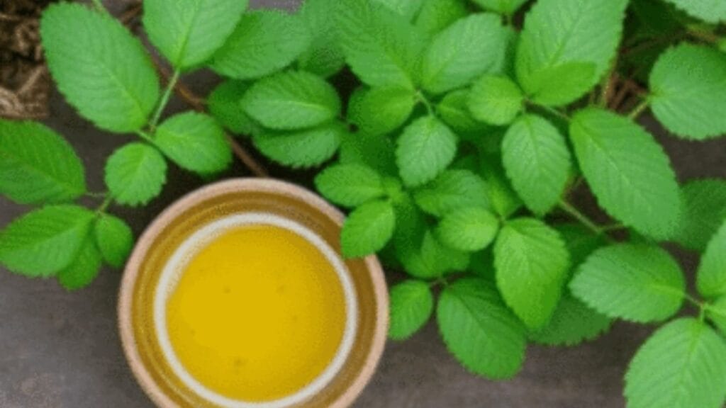 How to make Jeevamrit?
