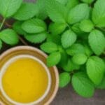 How to make Jeevamrit?