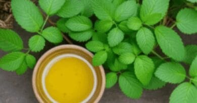 How to make Jeevamrit?