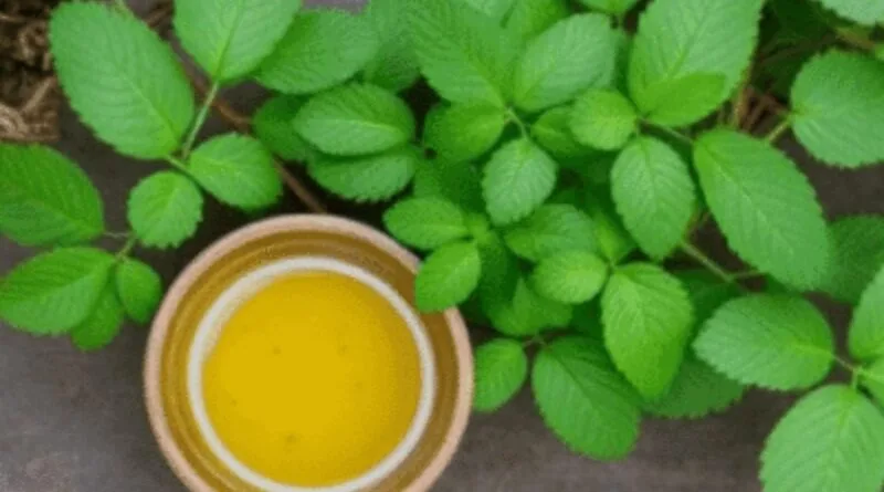 How to make Jeevamrit?