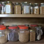 How to Start a Seed Bank for Your Farm or Home Garden
