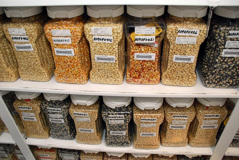 How to Start a Seed Bank for Your Farm or Home Garden