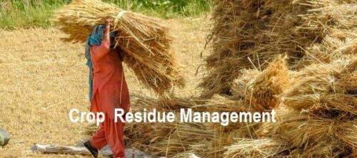 Crop Residue Management :