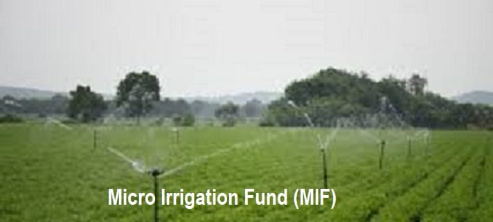 Micro Irrigation Fund (MIF)