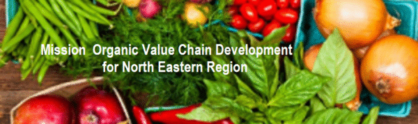 Mission Organic Value Chain Development for North Eastern Region