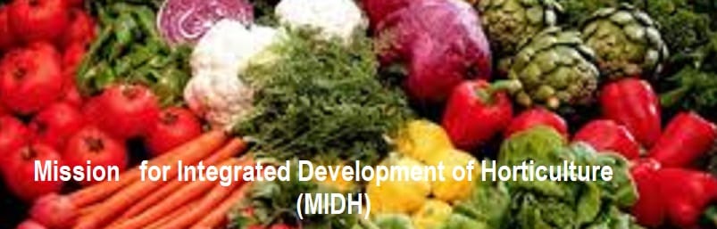 Mission for Integrated Development of Horticulture (MIDH)