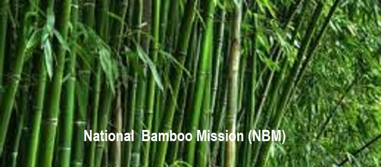 National Bamboo Mission (NBM)