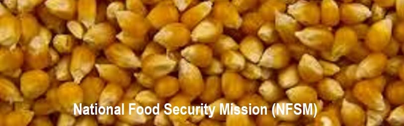 National Food Security Mission (NFSM)