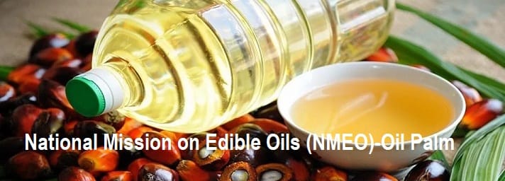 National Mission on Edible Oils (NMEO)-Oil Palm