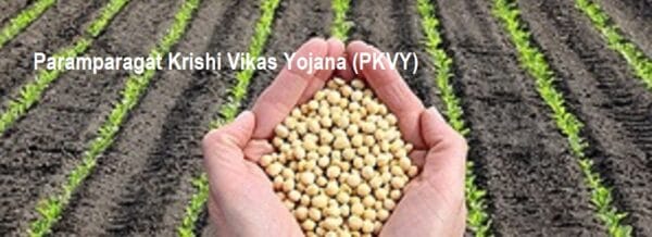 Paramparagat Krishi Vikas Yojana (PKVY)
