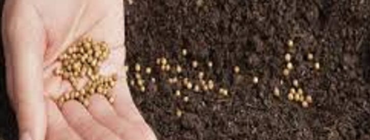 Sub-Mission on Seed and Planting Material (SMSP)