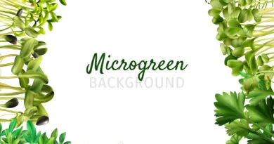 Microgreens Farming ; An Overview