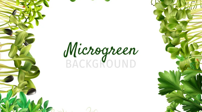 Microgreens Farming ; An Overview