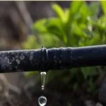 How to farmers grow more crop per drop ?