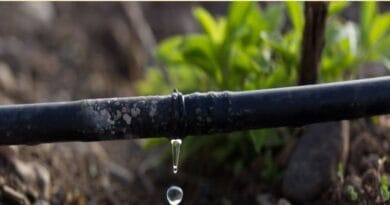 How to farmers grow more crop per drop ?