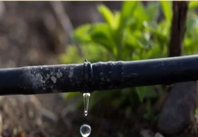 How to farmers grow more crop per drop ?